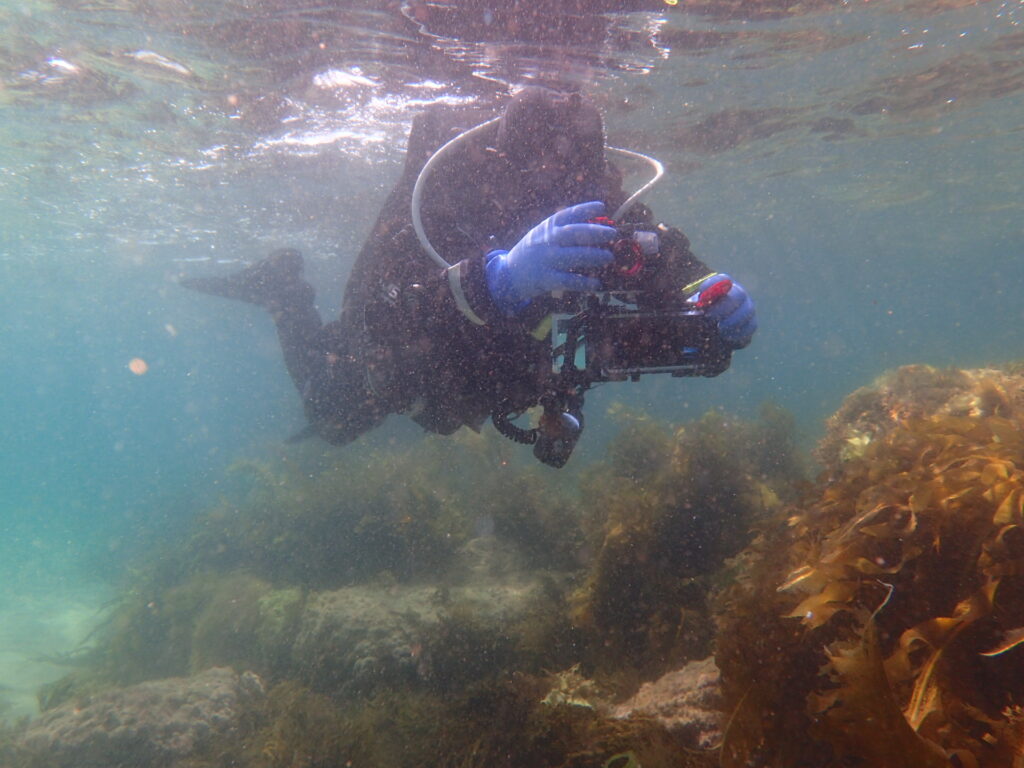 福岡における港湾の潜水調査の中、潜水士の作業の様子です。