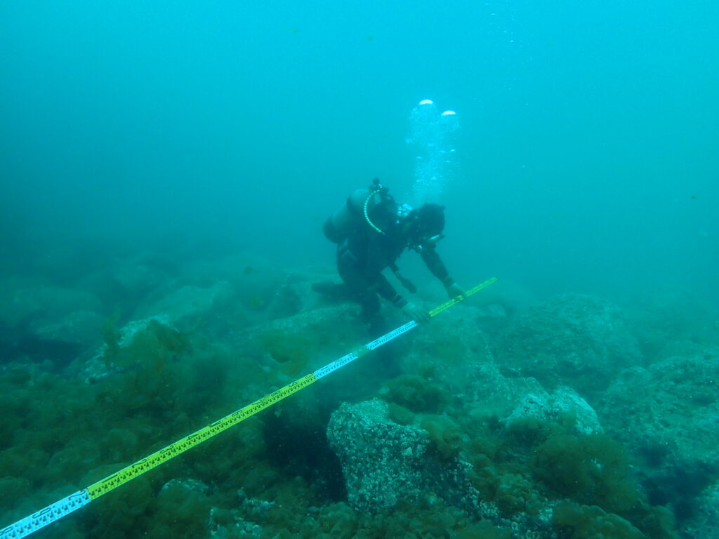 福岡の海岸の潜水調査の中、水中で計測を行なっています。