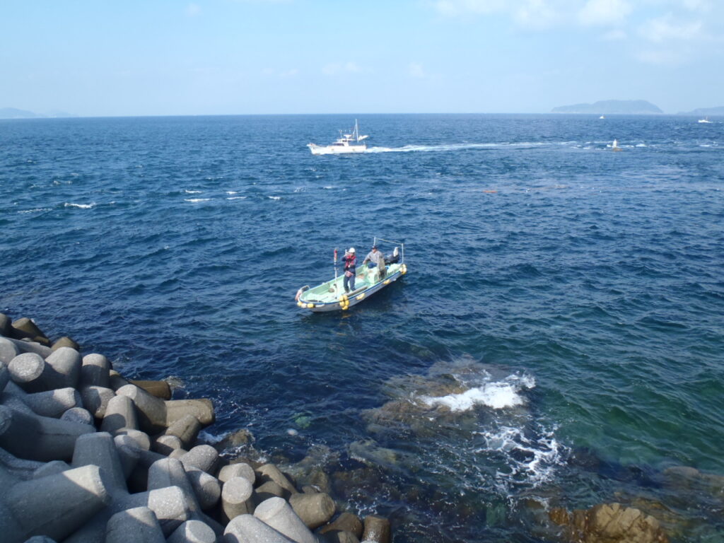 マリンサポートエンジニアリングが港湾の維持管理の中で、海上目視をしています。